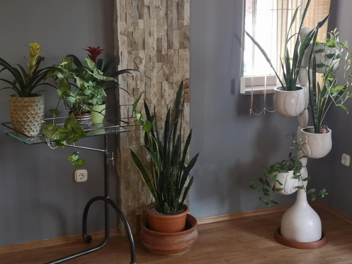Hotello Apartmanhaz Es Panzio 절러에게르세그 외부 사진